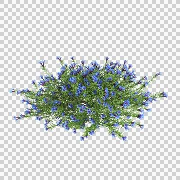 Tree 56 up 64 Stock Illustration