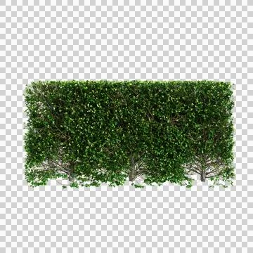 Tree 59 up 60 Illustrazione stock