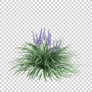 Tree 64 up 64 Stock Illustration