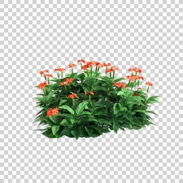 Tree 67 up 58 Stock Illustration