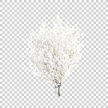 Tree 73 up 57 Stock Illustration