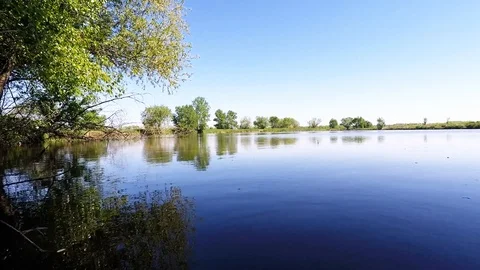The tree above the Lake Video stock 89425881