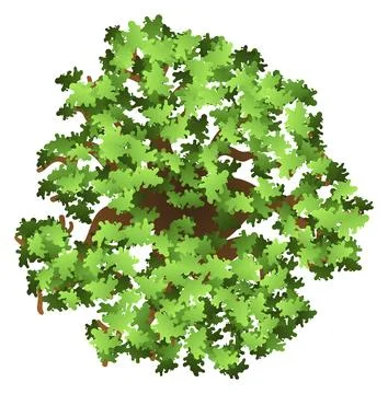 Tree from above. Landscape map top view element Stock Illustration