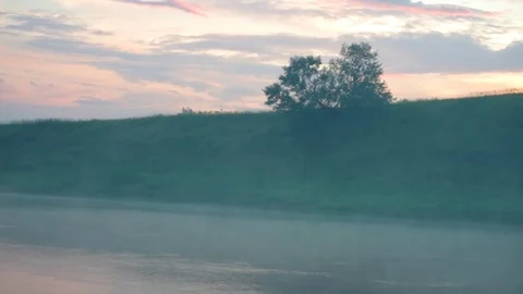 The tree above the river, over which the fog is spreading. Stock Footage 79793448