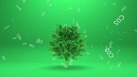 Tree absorbs co2 or Tree absorb carbon dioxide Stock Illustration
