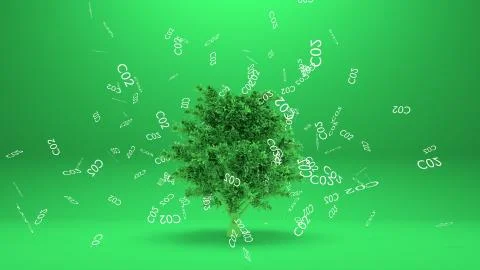 Tree absorbs co2 or Tree absorb carbon dioxide Stock Illustration