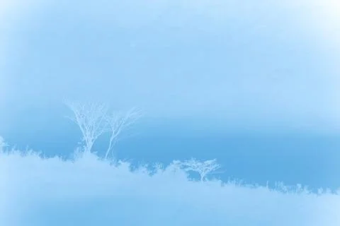 Tree abstract background Stock Photos