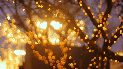 A tree adorned with light garlands. Video stock 73946073
