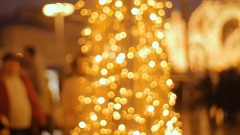 A tree adorned with light garlands. Stock Footage 73946332