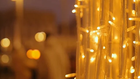 A tree adorned with light garlands. Video stock 73946577