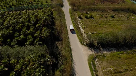 Tree aerial view route to beach Stock Footage 129634728