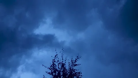 A tree against a backdrop of a cloudy, stormy sky. Cloudy, gloomy weather Stock Footage 345279044