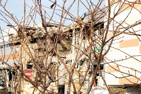 Tree against the backdrop of a destroyed shopping center from a missile att.. Stock Photos