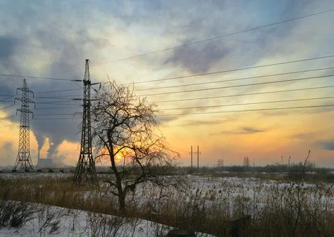 Tree against the background of power lines and smoke from a thermal power plant Stock Photos