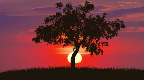 The tree against the background of sunrise. Time lapse Stock-Footage 63184775