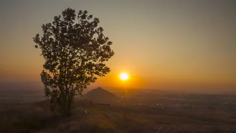 Tree against the setting sun Stock Footage 149154216