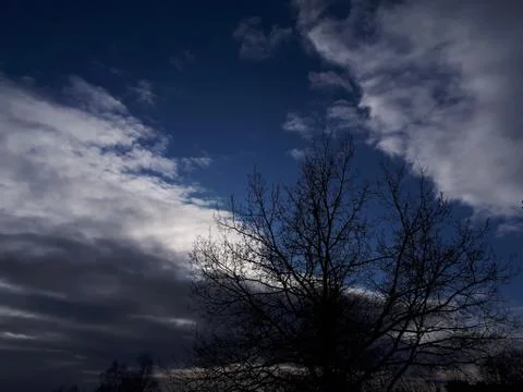Tree against the sky Stock Photos