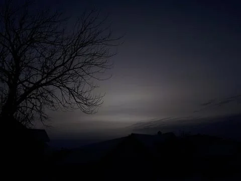 Tree against the sky Stock Photos