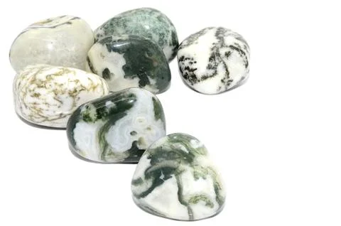 Tree Agate Stock Photos