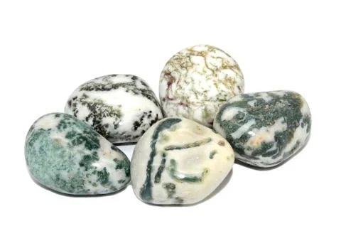 Tree Agate Stock Photos