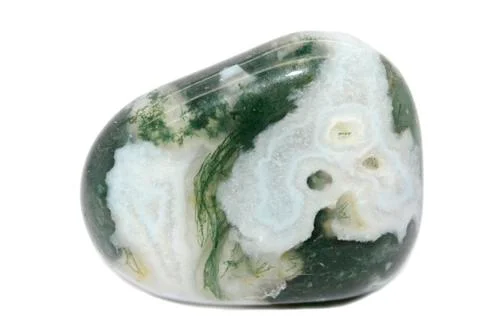 Tree Agate Stock Photos