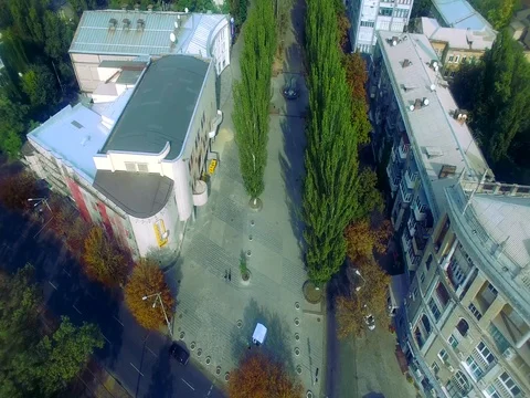 Tree alley. Long flight above Tree alley. Color-graded version Stock Footage