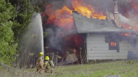 Tree almost catches fire Stock Footage 61173766