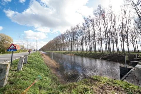 Tree along the river Stock Photos