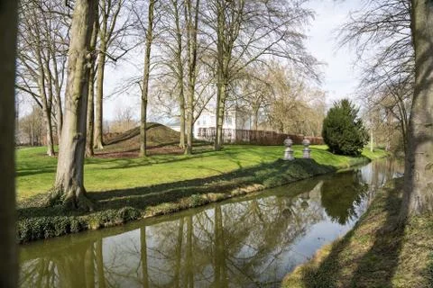 Tree along the river Stock Photos