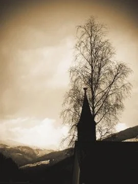 Tree in Alpine village Stock Photos