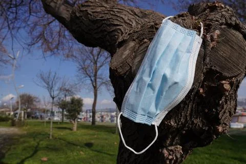 The Tree Is Also Wearing a Mask Stock Photos