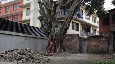 The tree with altar in the yard in Kathmandu Stock Footage 58894372