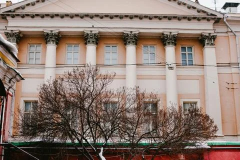Tree amid the old building Stock Photos