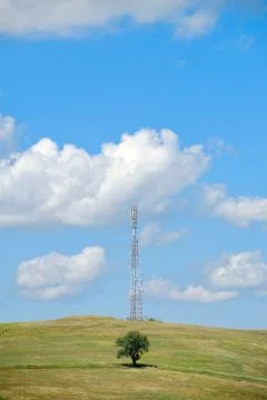 The tree and the antenna Foto stock