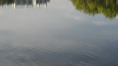 Tree and apartment block reflections in a lake Stock Footage 28824788