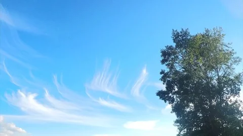 Tree And beautiful Clouds Against The Sky Timelapse 스톡 동영상 82983804
