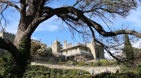 Tree and Beautiful Palace Vídeo Stock 49513906
