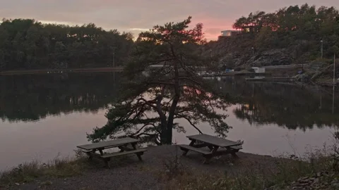 Tree and benches in front of pond during sunset Video stock 143439108