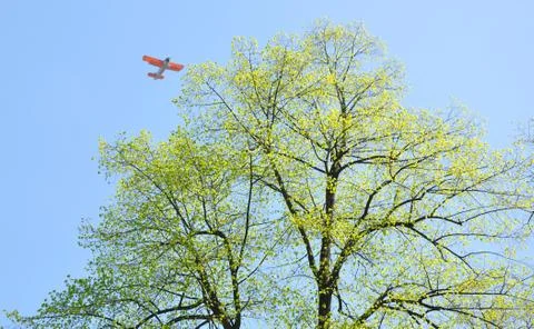 Tree and biplane Stock Photos