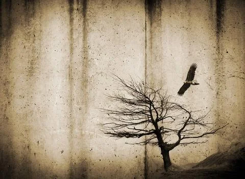 Tree and Bird on rough background Grunge style textures with stains and tr... Stock Photos