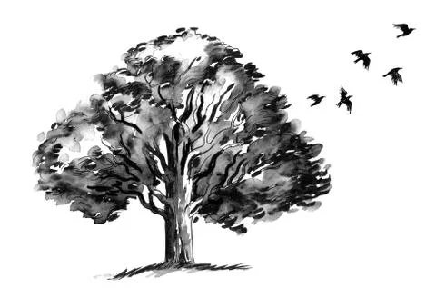 Tree and birds Illustrazione stock