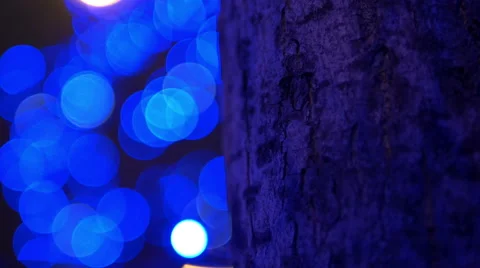 Tree and BLue Lights 4K Stock Footage 46638918