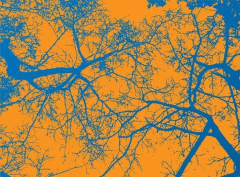Tree and branches silhouette. Vector background Illustrazione stock