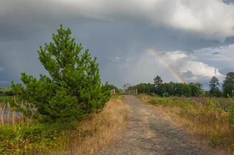 Tree and bridge below rainbow Stock Photos