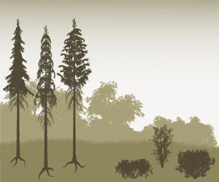 Tree and brush set Stock Illustration