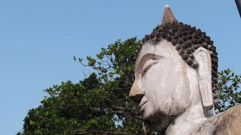 The tree and Buddha's head Stock Photos