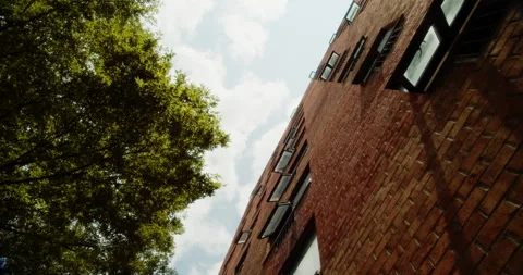 A tree and building in a city Stock Footage 158762223
