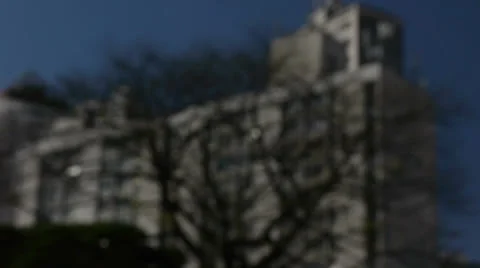 Tree and Building Stock Footage 27198140