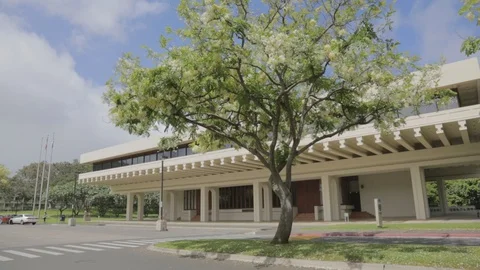 Tree And Building Stock Footage 104795530