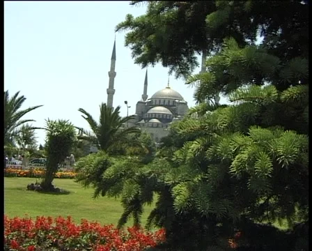 Tree and castle Stock Footage 944273